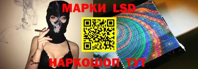 гашик Будённовск