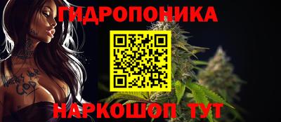гашик Будённовск