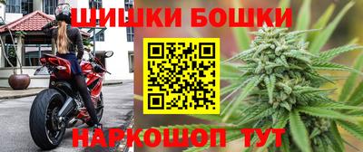 гашик Будённовск