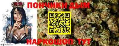гашик Будённовск