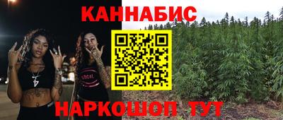 гашик Будённовск