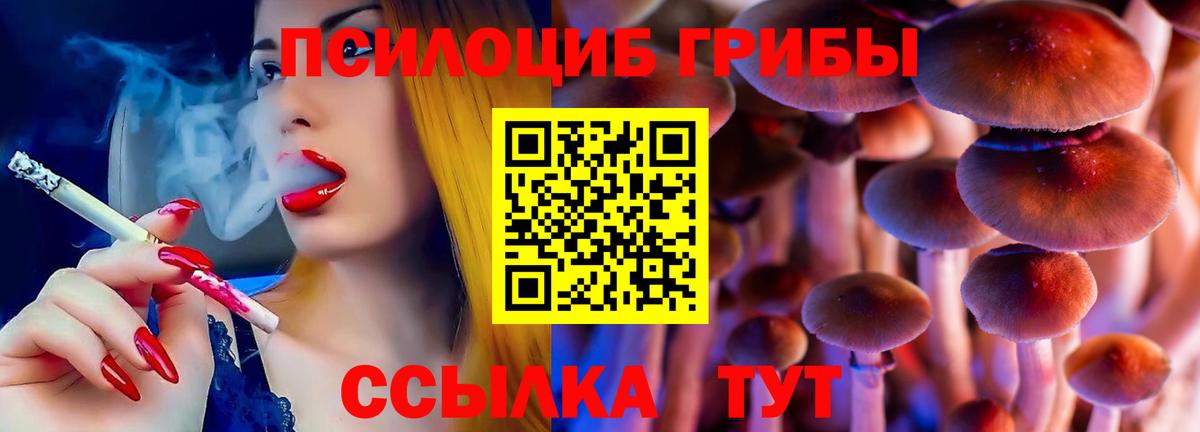 Галлюциногенные грибы мухоморы  где найти наркотики  Курчалой  Вход с VPN 